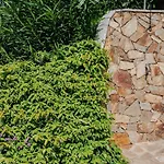 Holiday home Isola Alta - Budoni Sweet